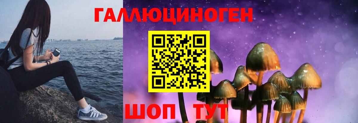 Галлюциногенные грибы прущие грибы  Вход с VPN  Наро-Фоминск 